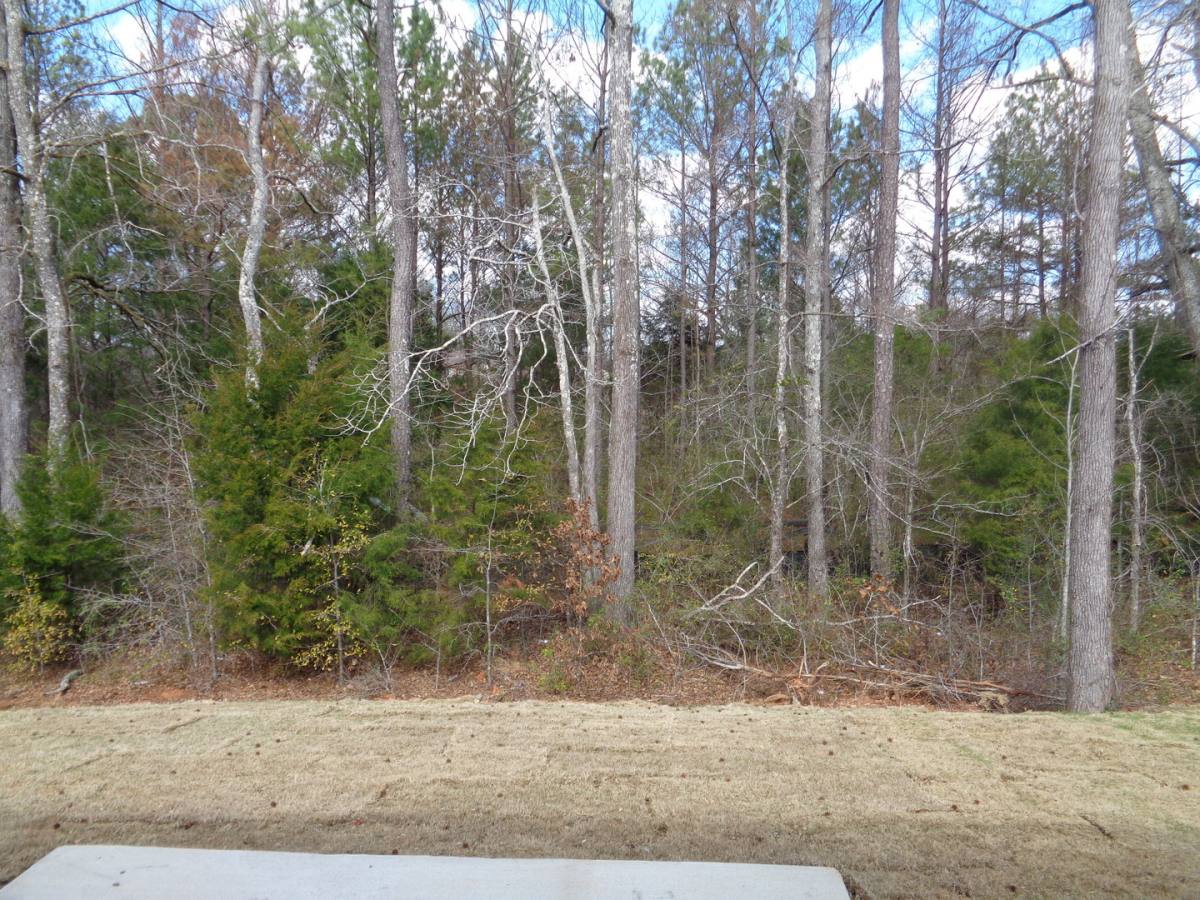 Townhouse for rent at 602 The Heights Lane, Calera, AL 35040