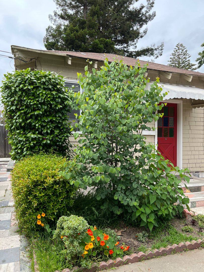House for rent at 453 Central Ave, Alameda, CA 94501