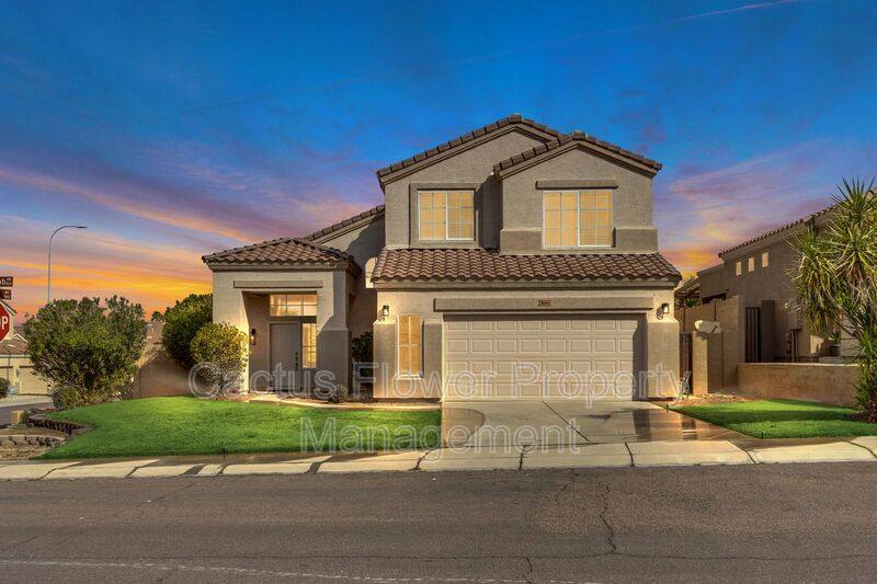 House for rent at 846 W Carob Dr, Chandler, AZ 85248