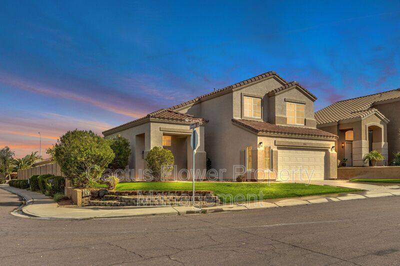 House for rent at 846 W Carob Dr, Chandler, AZ 85248