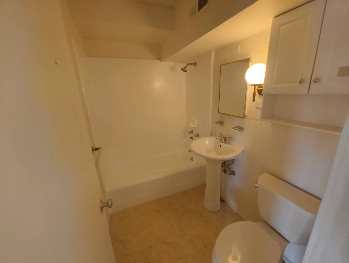 Apartment for rent at 509 University Ave, Honolulu, HI 96826