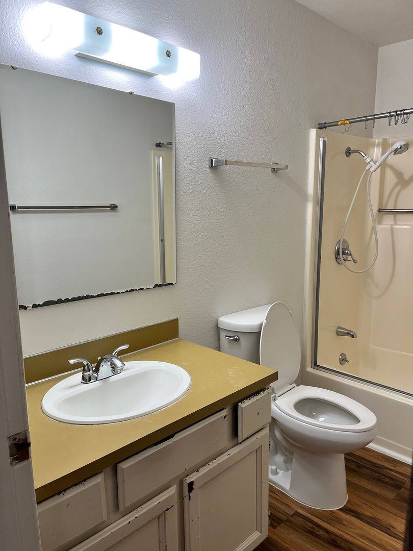 Apartment for rent at 509 N Black, Units 1-8, Bozeman, MT 59715