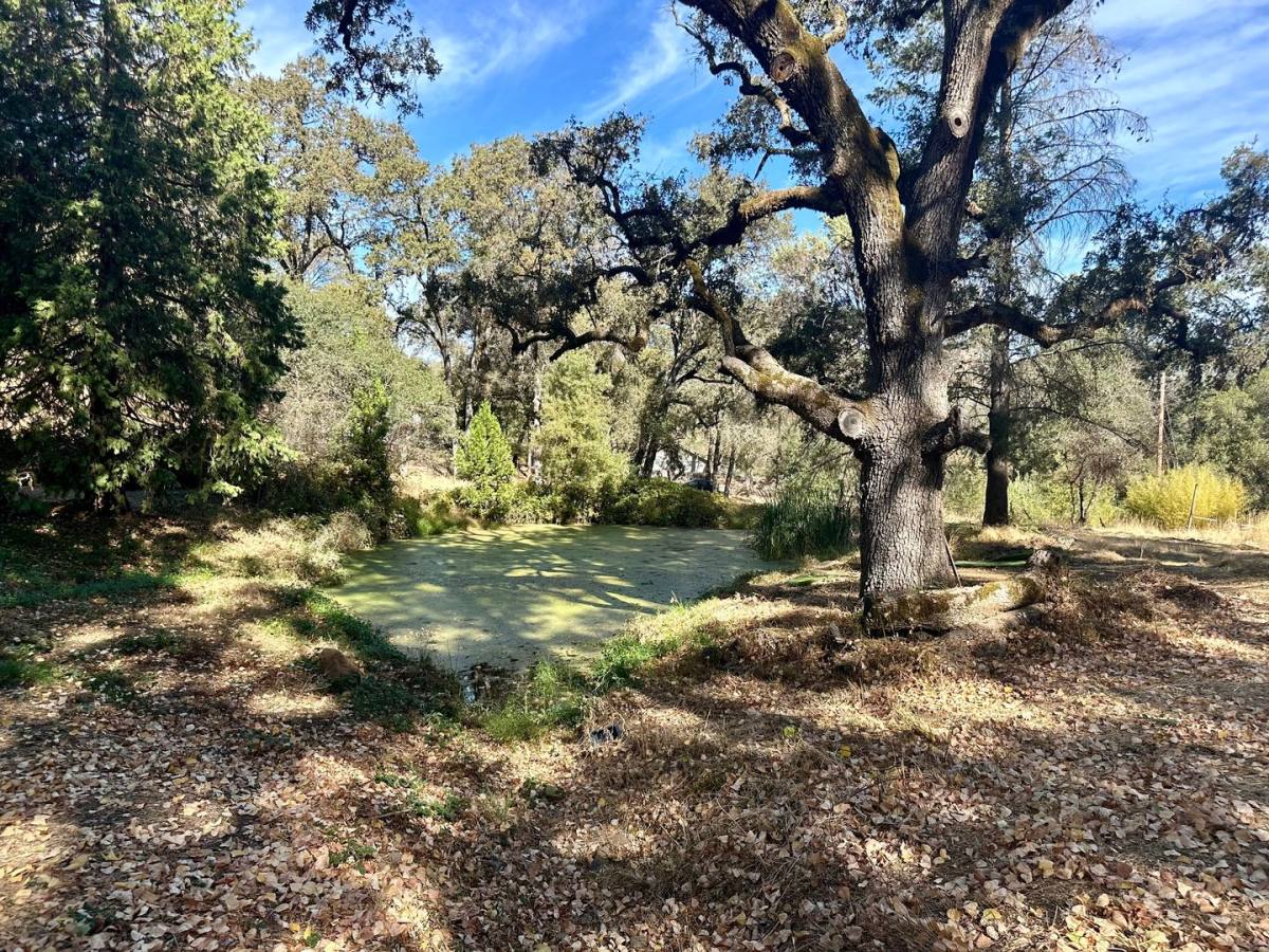 House for rent at 11292 Old Pond Rd, Grass Valley, CA 95945