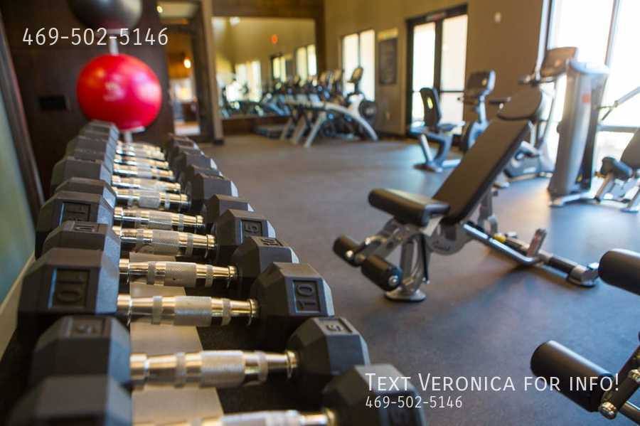 Apartment for rent at 380 Vista Court Dr, Plano, TX 75074