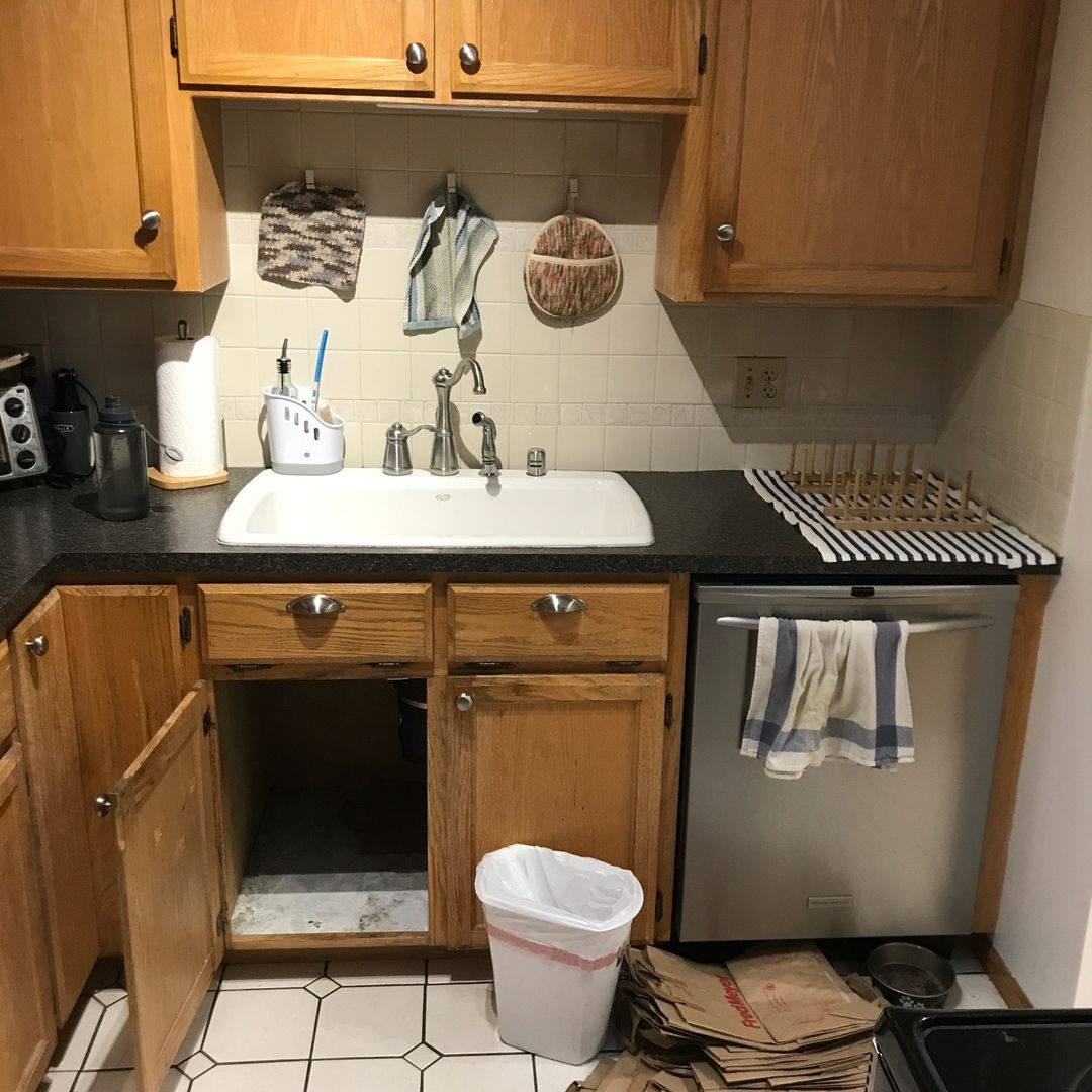 Apartment for rent at 1119 N Forest St, Bellingham, WA 98225