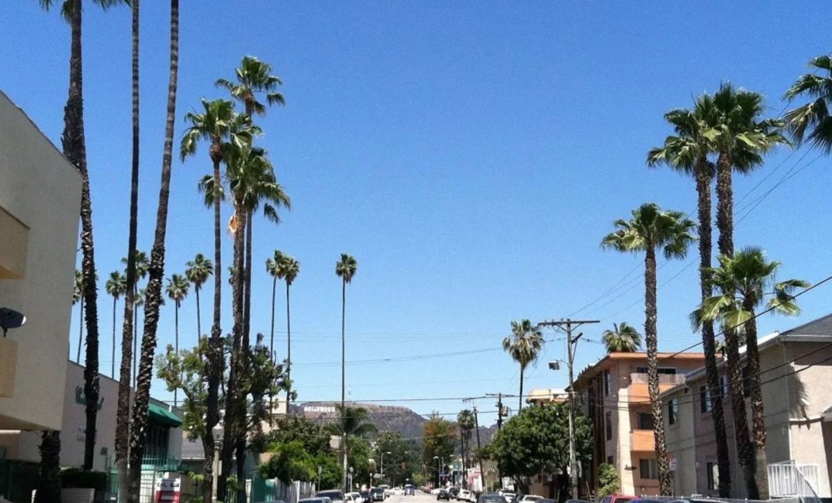 Apartment for rent at 1539 N Bronson Ave, Los Angeles, CA 90028