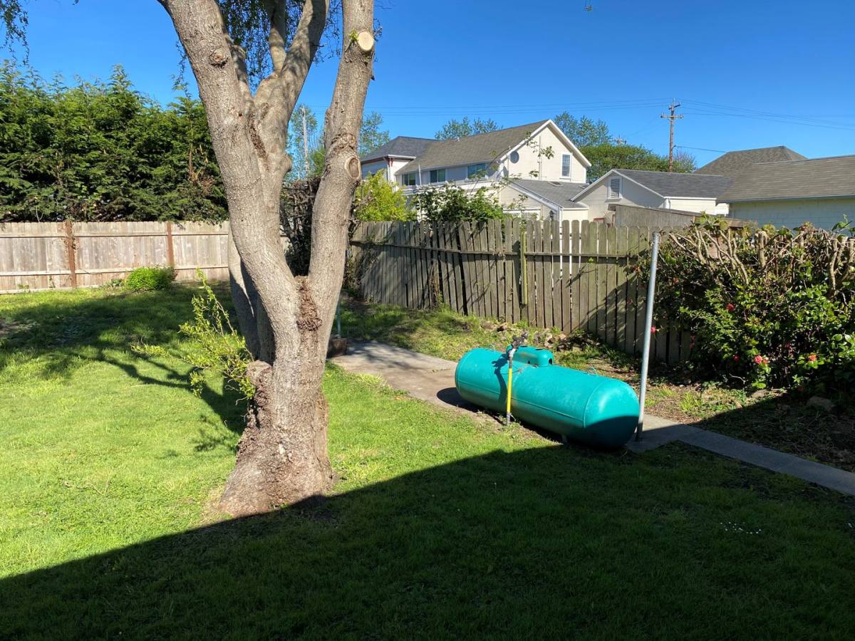 House for rent at 1239 Madison St, Ferndale, CA 95536