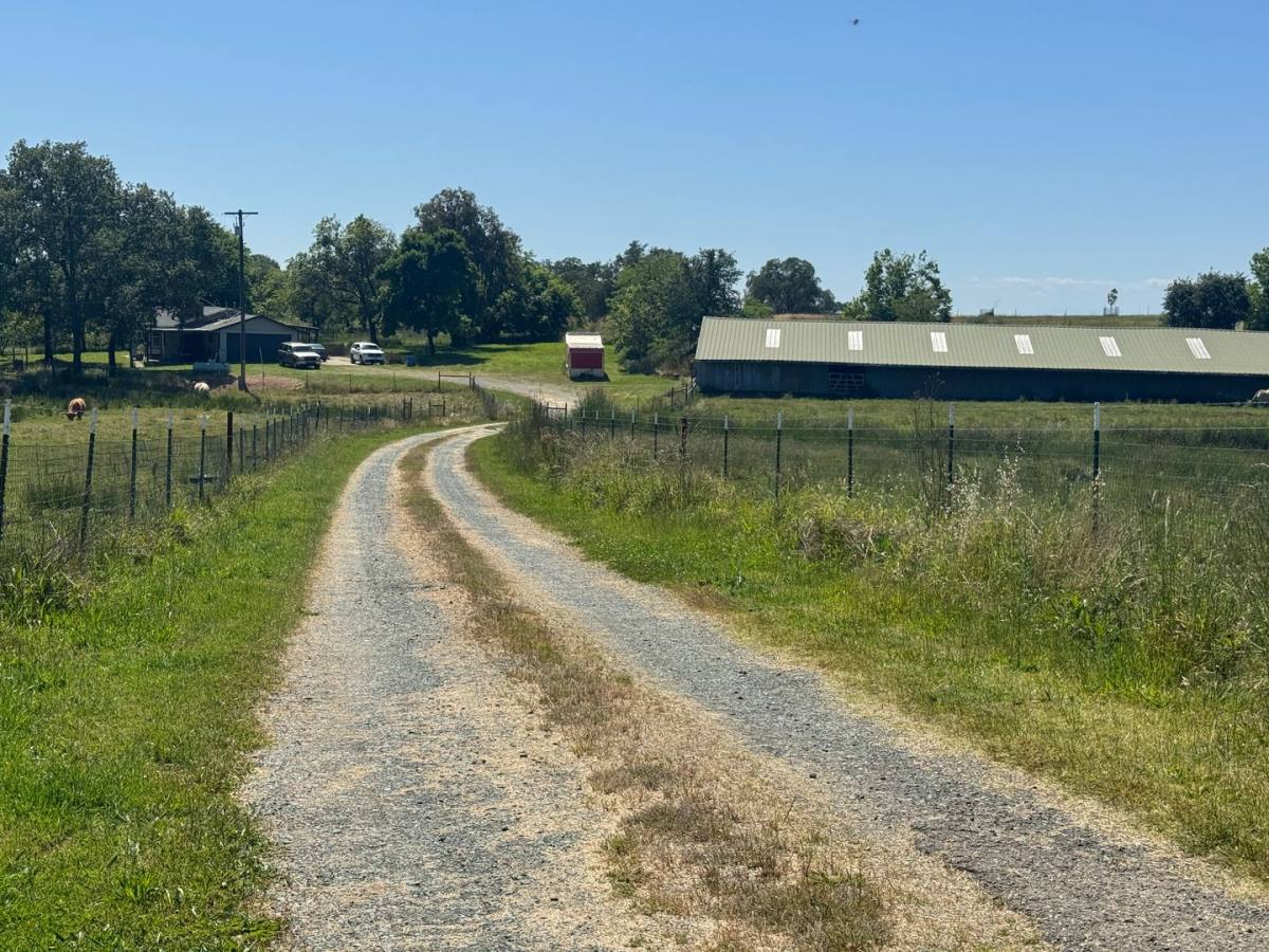 House for rent at 12392 Littlefield Rd, Marysville, CA 95901