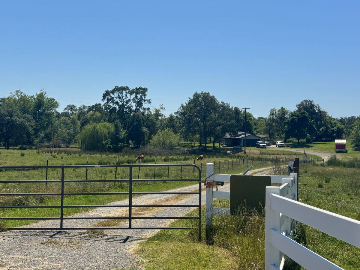 House for rent at 12392 Littlefield Rd, Marysville, CA 95901