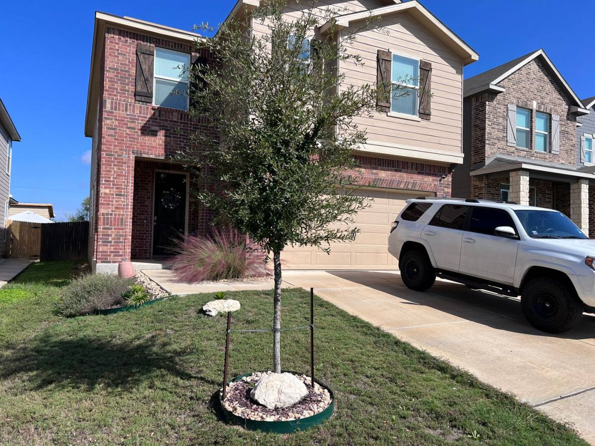 House for rent at 11223-OCTOBER Stead, San Antonio, TX 78254