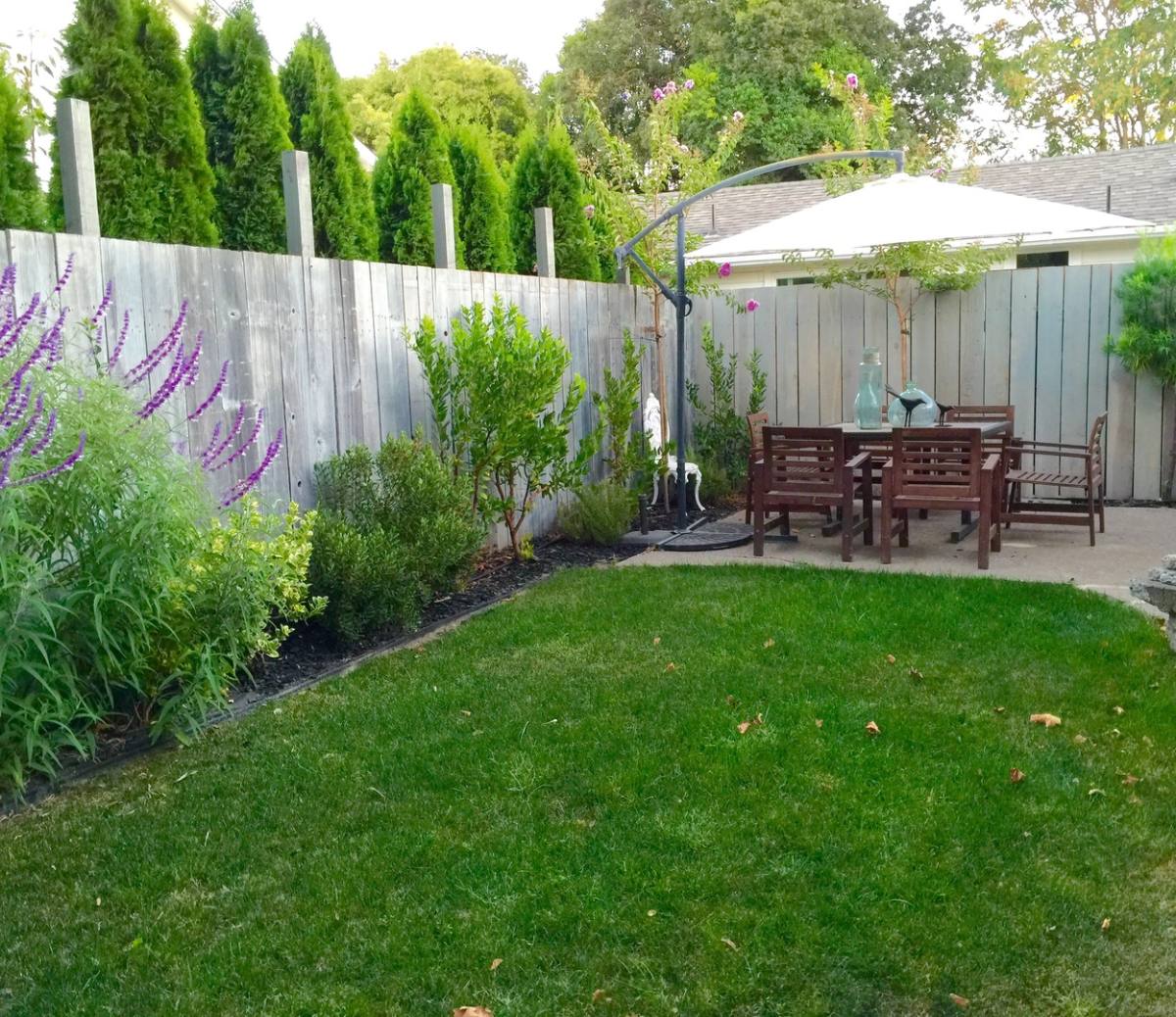Apartment for rent at 42 Adeline Way, Healdsburg, CA 95448