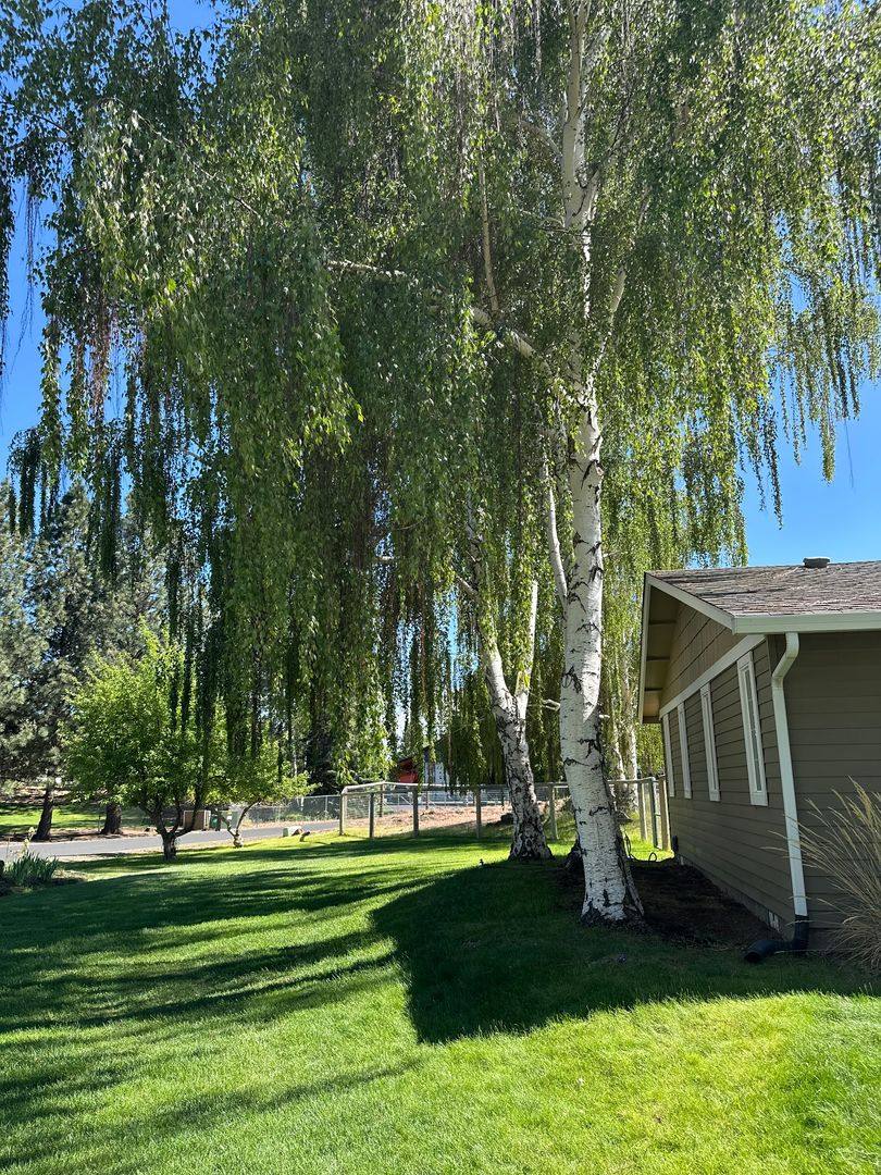 House for rent at 21700 Stud Court, Bend, OR 97702