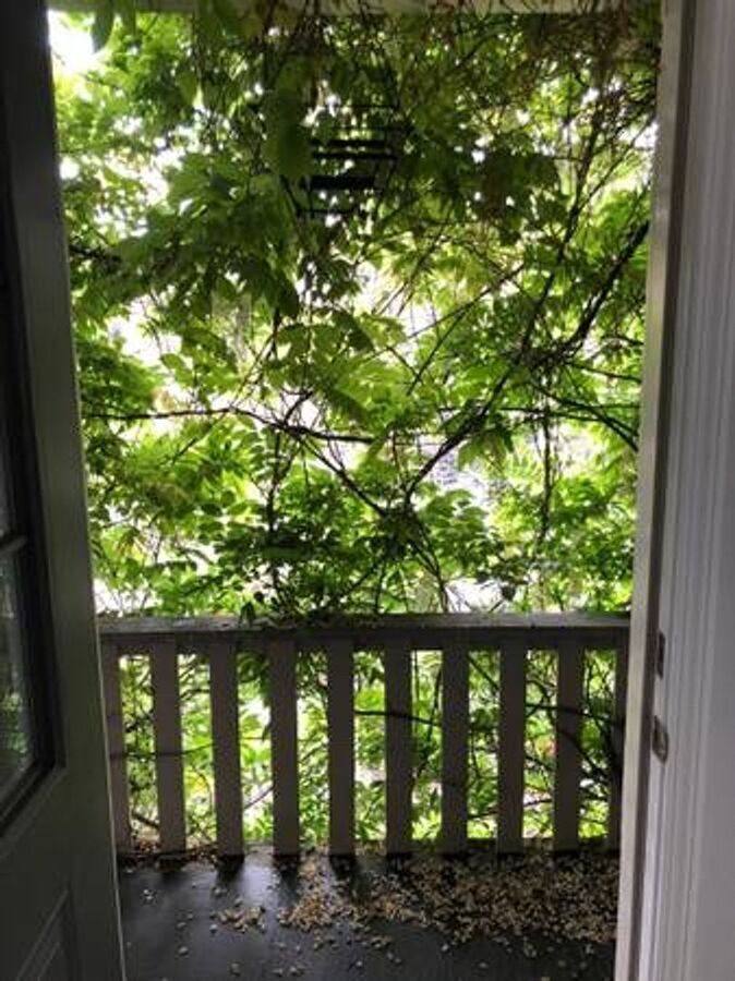 Apartment for rent at 828 Milton St, Oakland, CA 94607