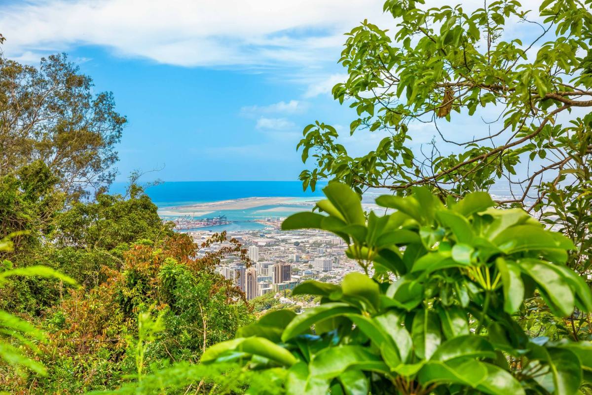 House for rent at 3310 Tantalus Dr, Honolulu, HI 96822