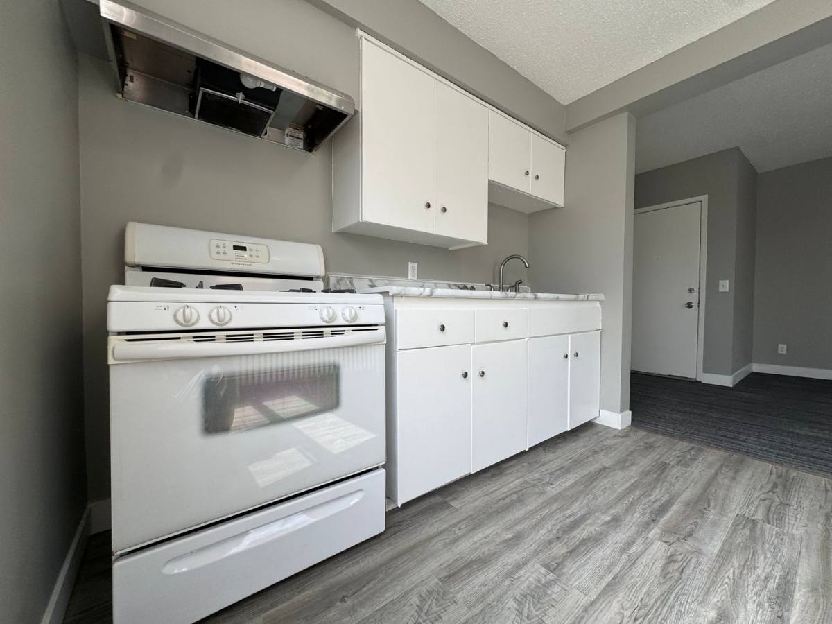 Apartment for rent at 1727 Reany Ave, Saint Paul, MN 55106