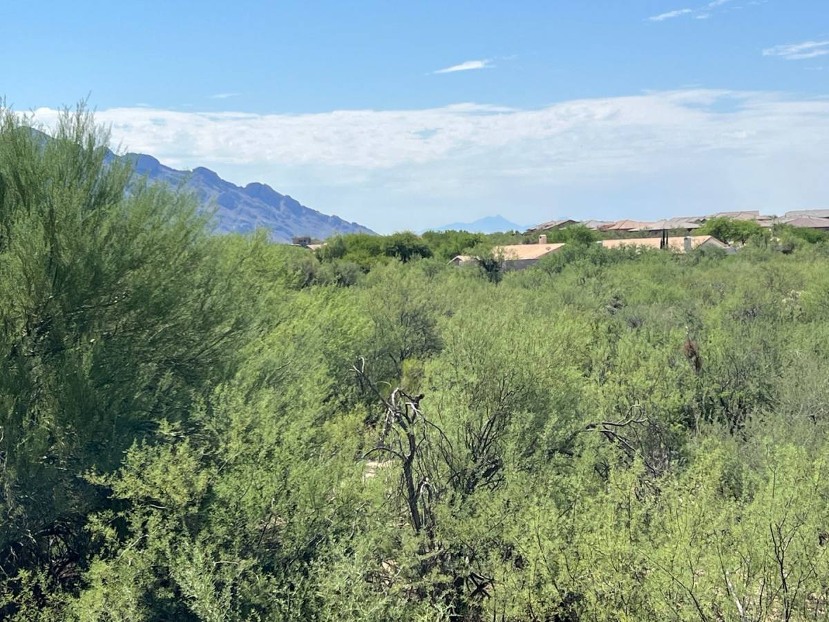 House for rent at 13153 N Tanner Robert Dr, Tucson, AZ 85755