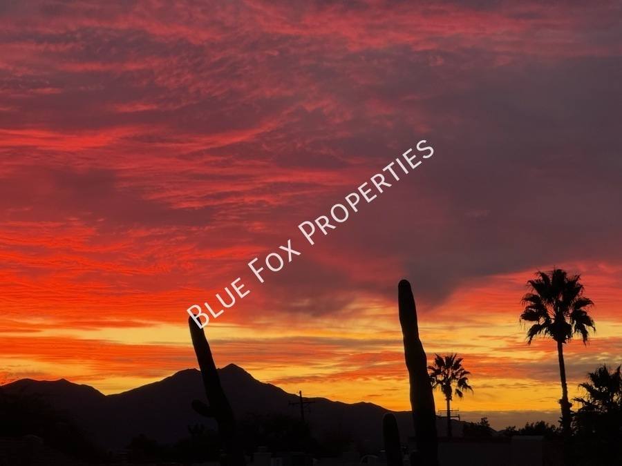 House for rent at 6217 N Saguaro Post Place, Tucson, AZ 85704