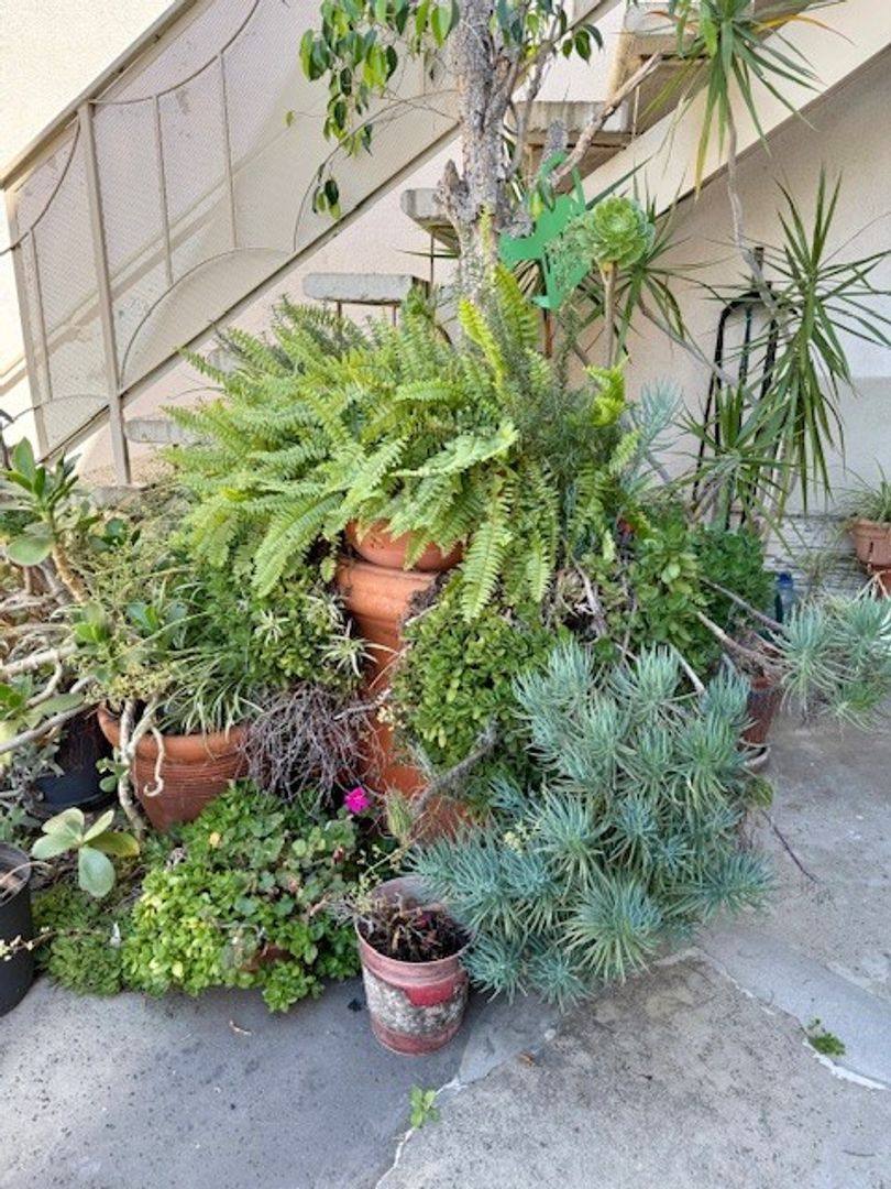 Apartment for rent at 4901 Laurel Canyon Blvd, Valley Village, CA 91607