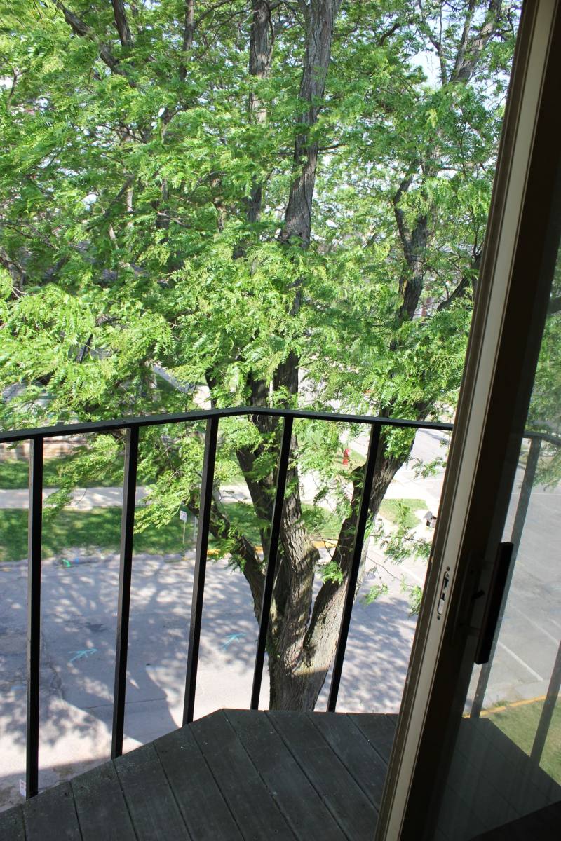 Apartment for rent at 102 N Orchard St, Madison, WI 53715