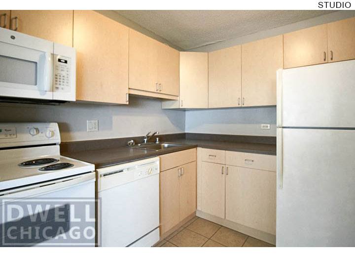 Apartment for rent at 1212 S Michigan, Chicago, IL 60605