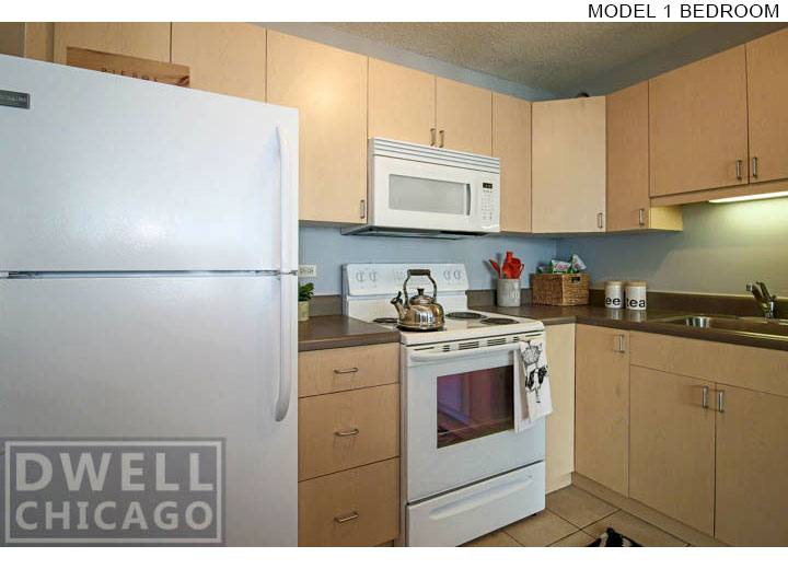Apartment for rent at 1212 S Michigan, Chicago, IL 60605
