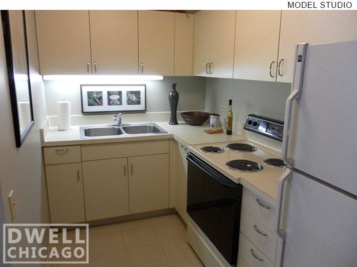 Apartment for rent at 1130 N Dearborn, Chicago, IL 60610