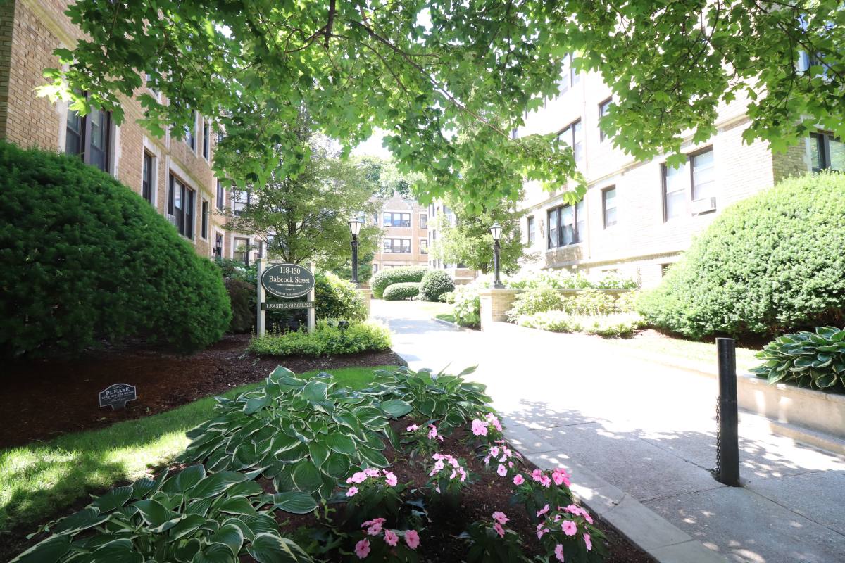 Apartment for rent at 120A Babcock St #B4, Brookline, MA 02446