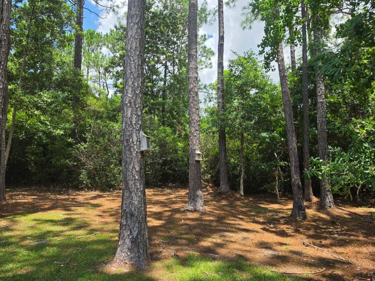 House for rent at 24381 Sailfish Lane, Orange Beach, AL 36561