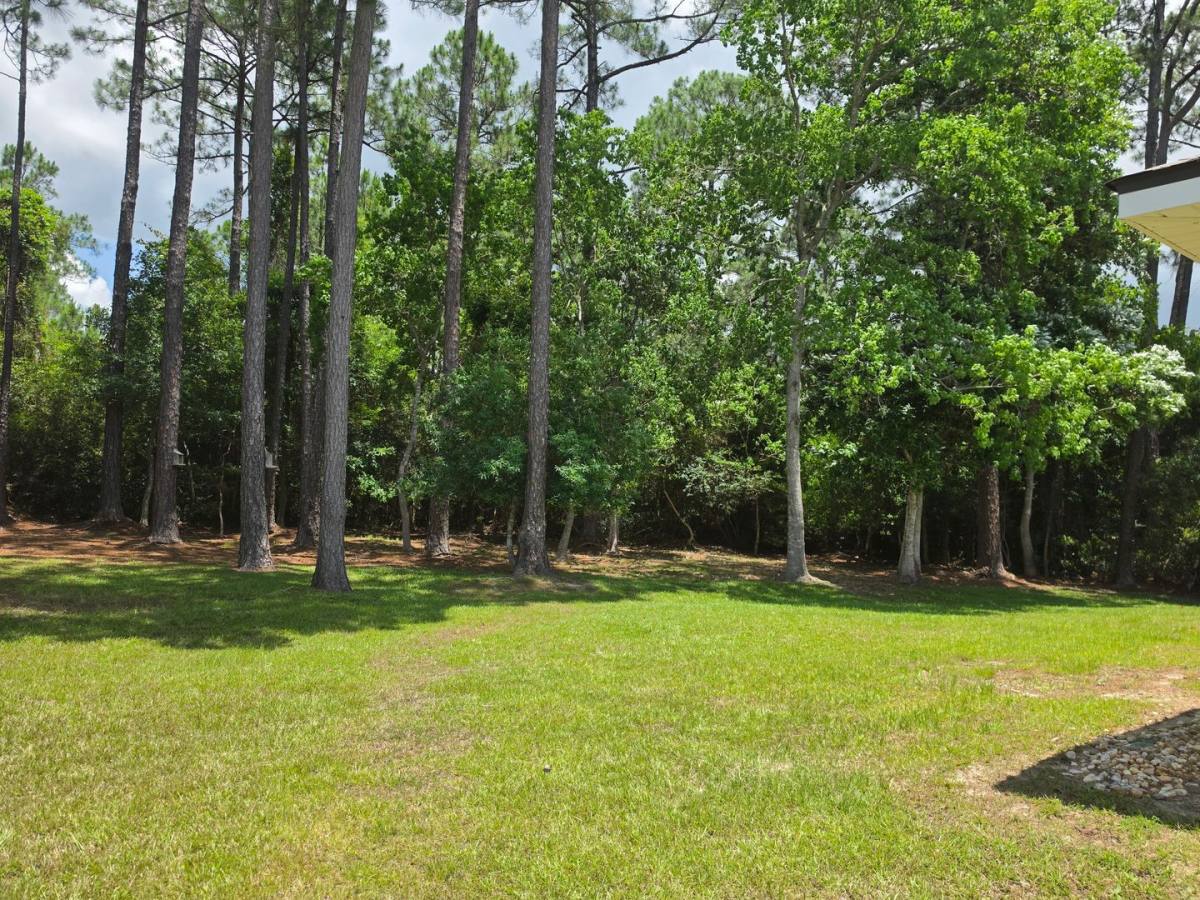 House for rent at 24381 Sailfish Lane, Orange Beach, AL 36561