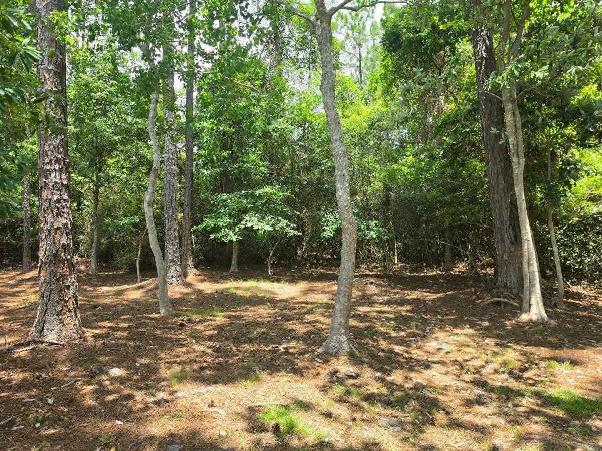 House for rent at 24381 Sailfish Lane, Orange Beach, AL 36561