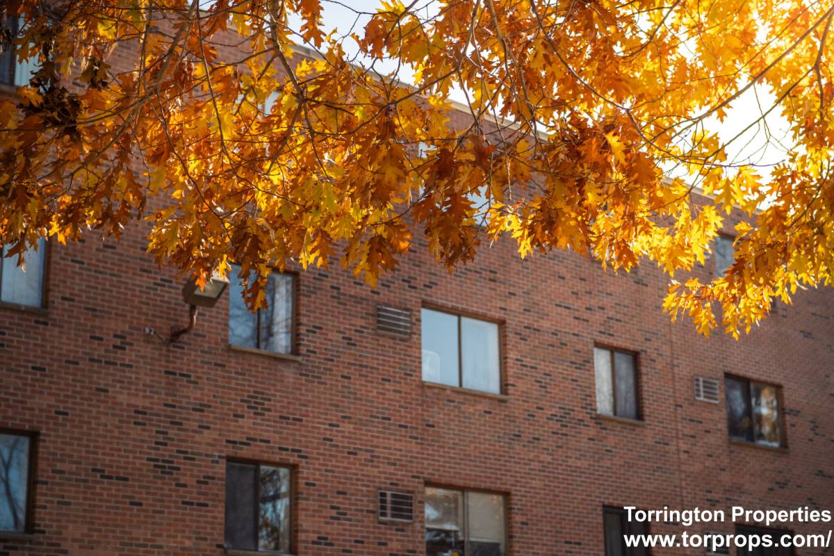 Apartment for rent at 253 Hyde Park Ave #37, Jamaica Plain, MA 02130