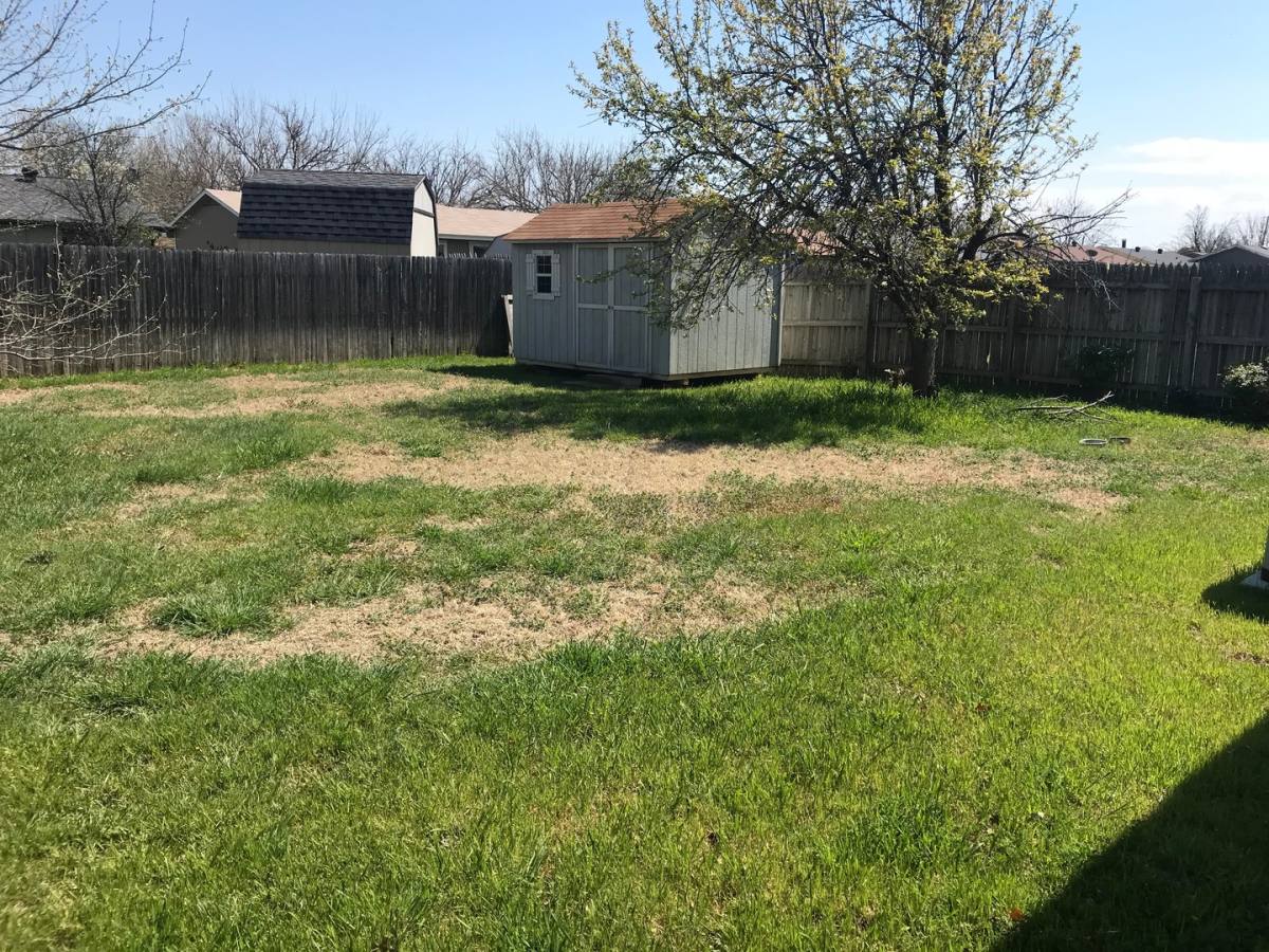 House for rent at 3717 Scranton, Abilene, TX 79602