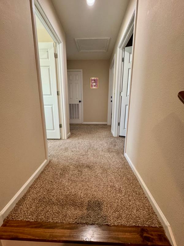 Apartment for rent at 1402 Park St, Troy, AL 36081