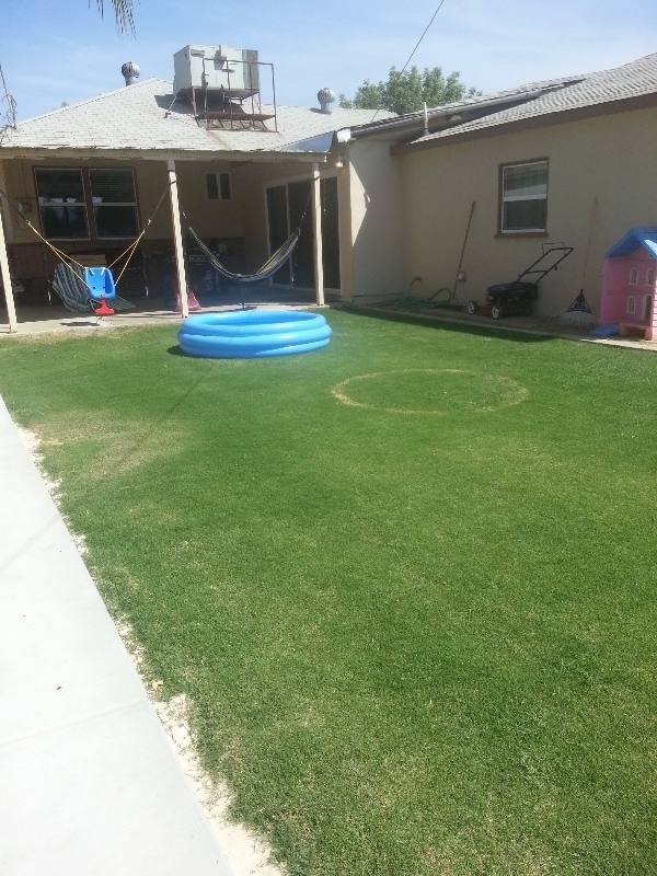 House for rent at 6305 Almond Dr, Bakersfield, CA 93308