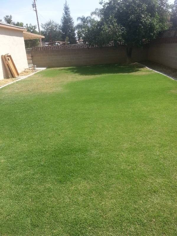 House for rent at 6305 Almond Dr, Bakersfield, CA 93308
