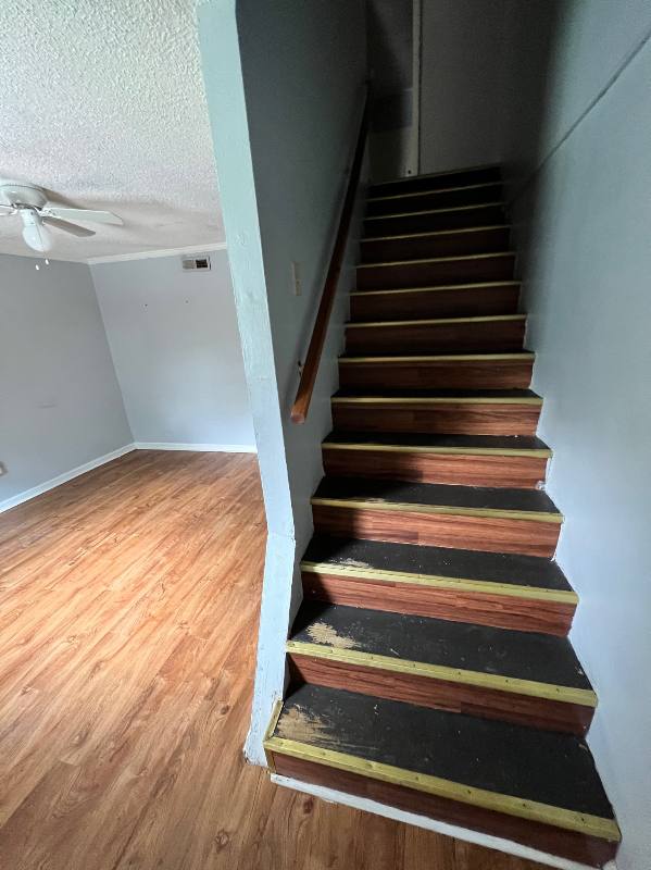 Apartment for rent at 421 S Orleans St, Florence, AL 35630