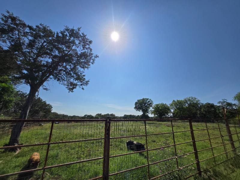 House for rent at 606 Blessing Ranch Rd #1, Liberty Hill, TX 78642