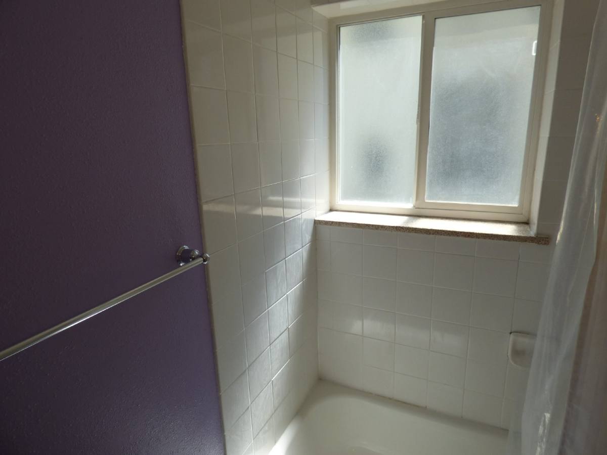 Apartment for rent at 1056 N Marion St #201, Denver, CO 80218