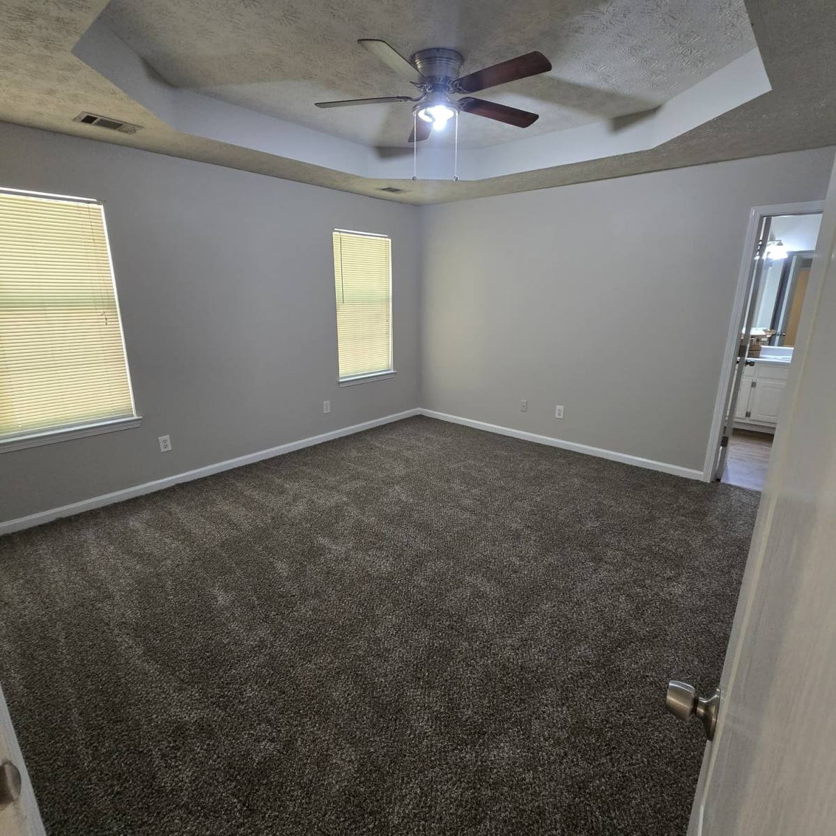 House for rent at 253 Pebble Creek Dr, McDonough, GA 30253