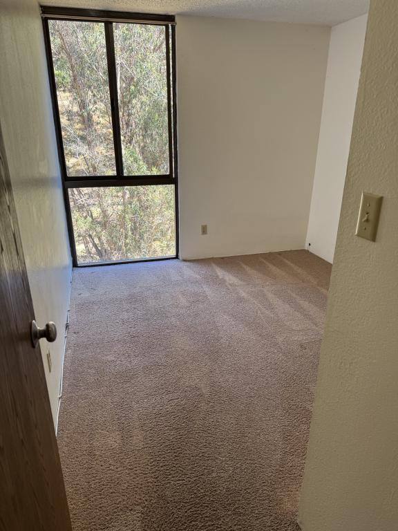 Condo for rent at 555 Pierce St #1225, Albany, CA 94706