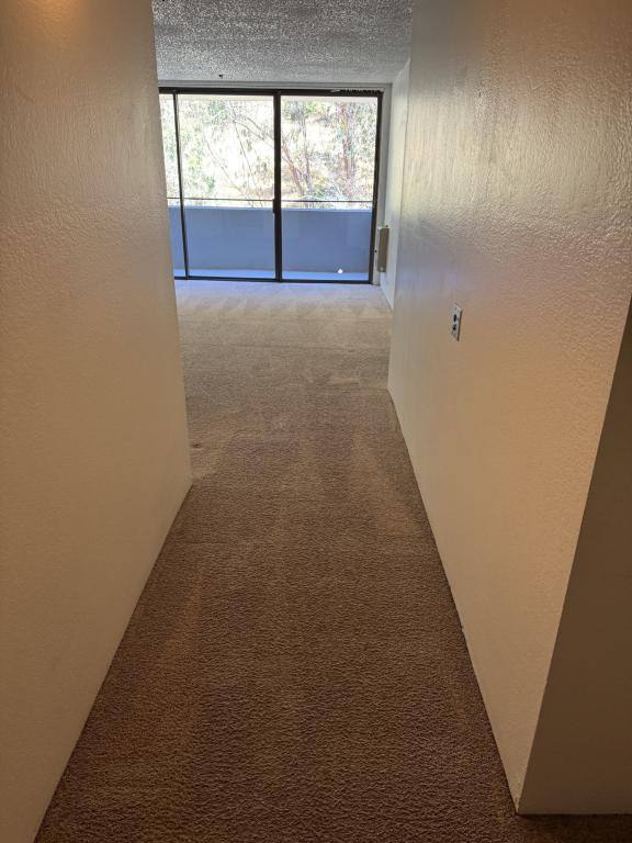 Condo for rent at 555 Pierce St #1225, Albany, CA 94706