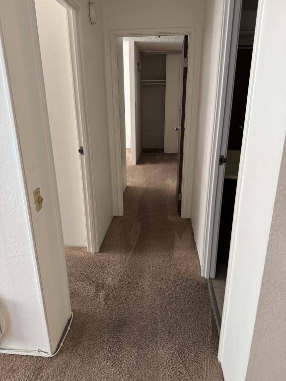 Condo for rent at 555 Pierce St #1225, Albany, CA 94706