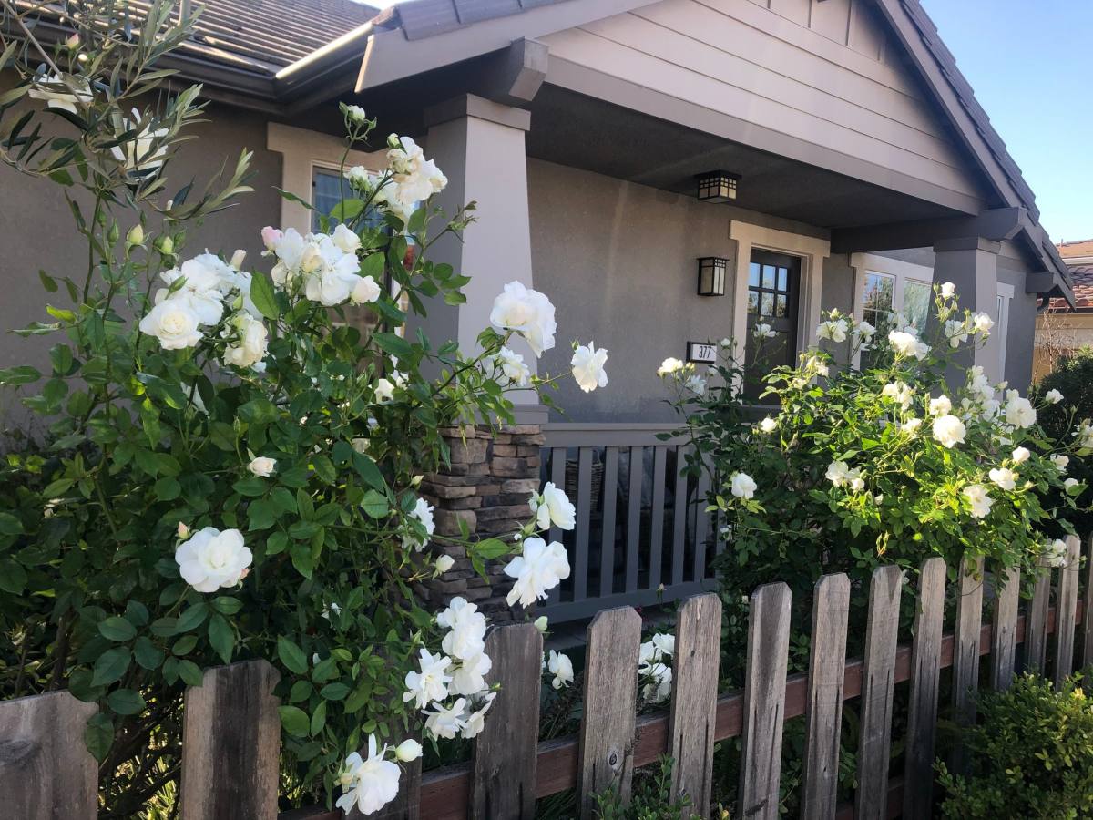 Apartment for rent at 377 Sage St #ROOM 1, San Luis Obispo, CA 93401