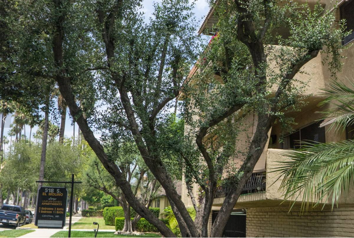 Apartment for rent at 518 El Molino Ave #306, Pasadena, CA 91106