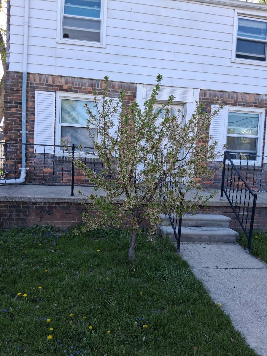 House for rent at 4819 Woodworth St, Dearborn, MI 48126