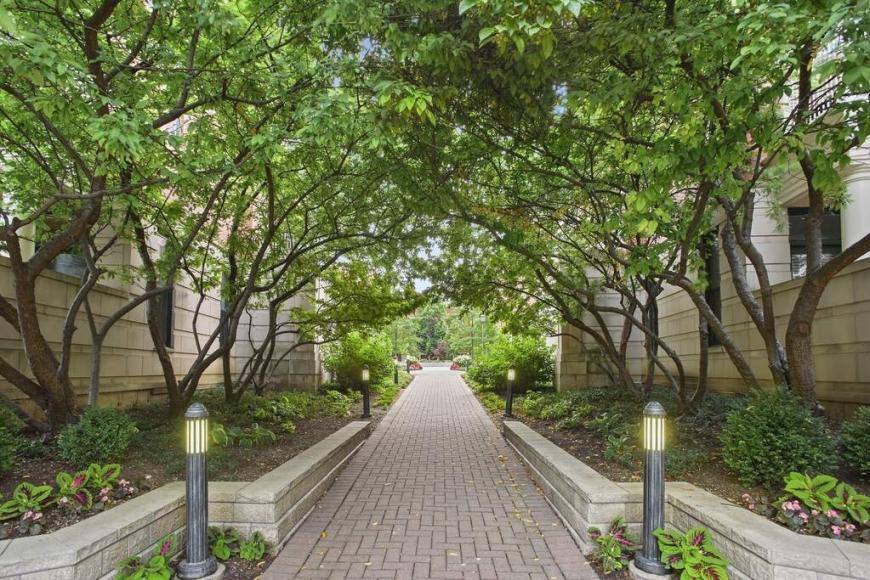Condo for rent at 400 N Clinton #307, Chicago, IL 60654