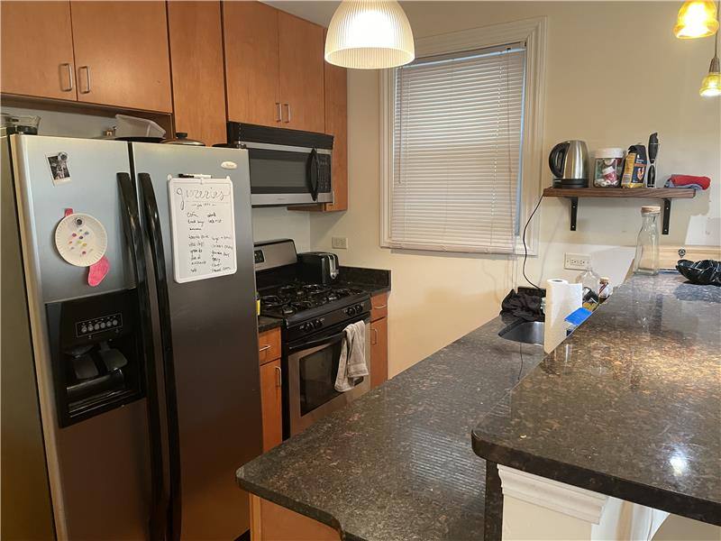 Apartment for rent at 1738 W Altgeld #1, Chicago, IL 60614