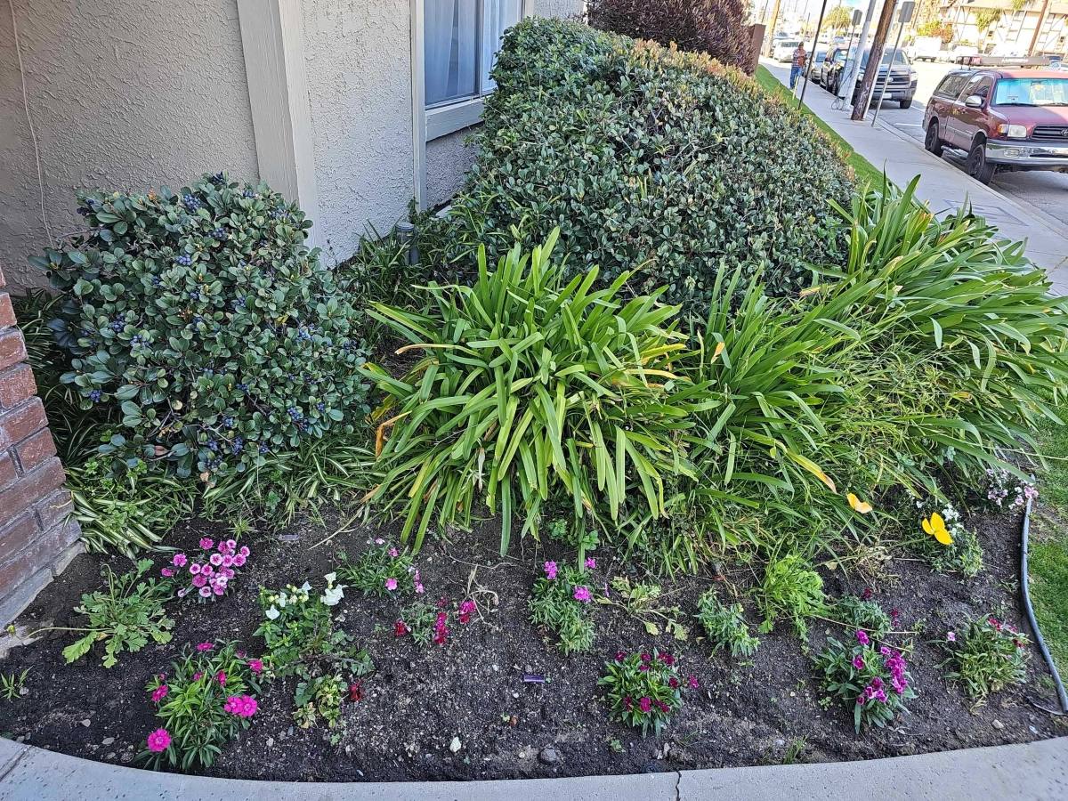 Apartment for rent at 7435 Sepulveda Blvd #83, Van Nuys, CA 91405