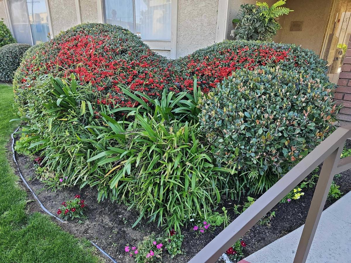 Apartment for rent at 7435 Sepulveda Blvd #83, Van Nuys, CA 91405