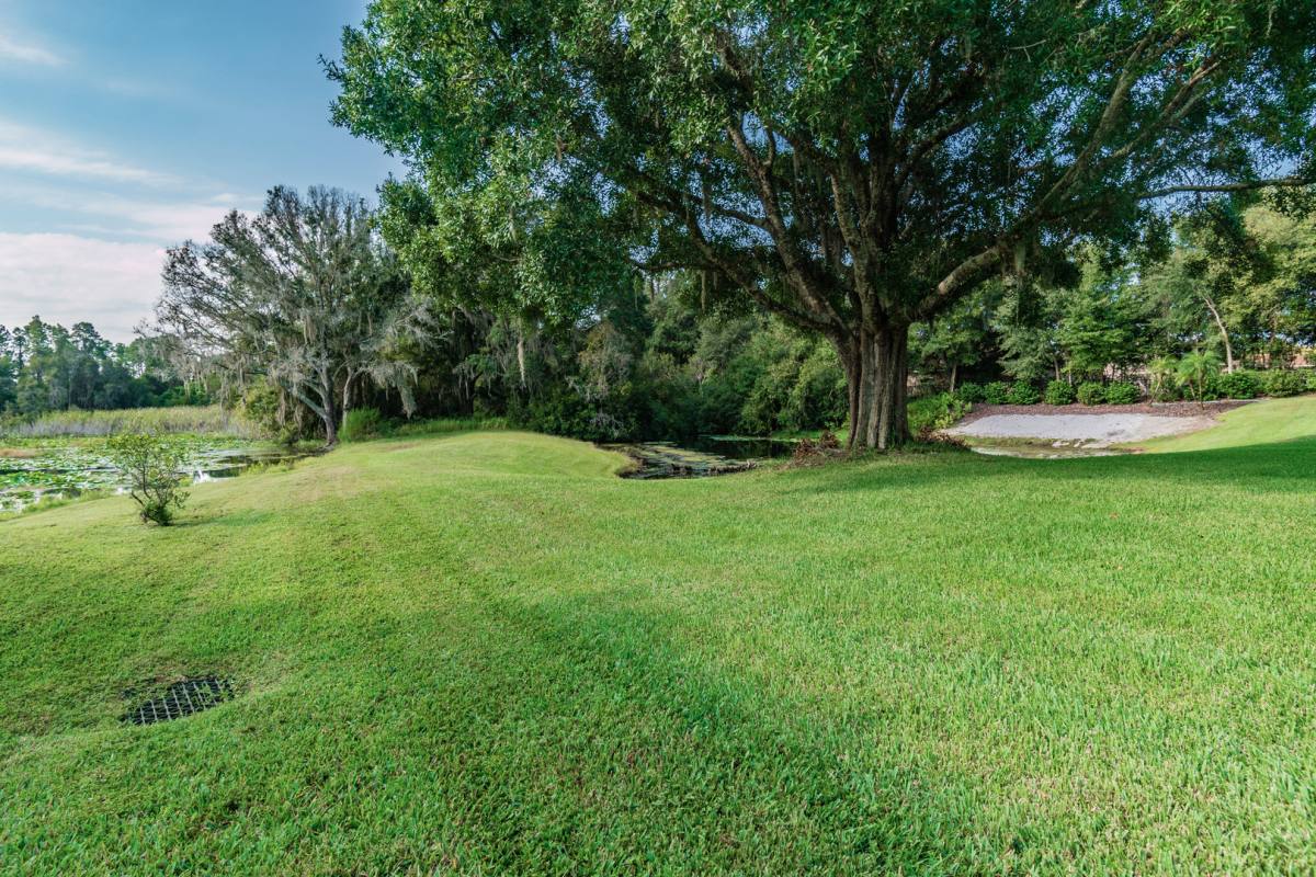 House for rent at 1107 Oxbridge Dr, Lutz, FL 33549